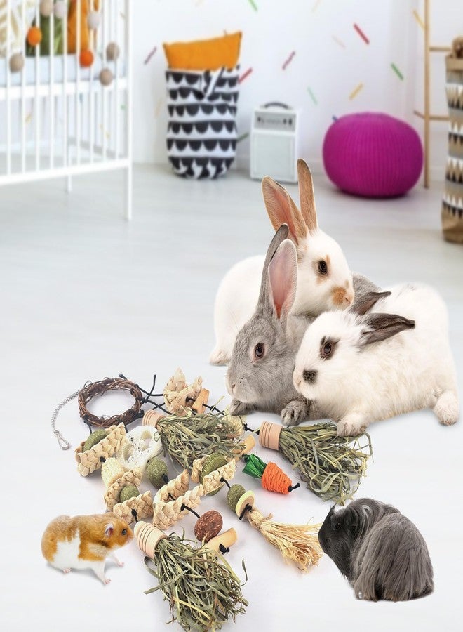 Bissap Rabbit Chew Toy, Bunny Cage Hanging Chewing Toys and Treats Wooden with Snacks for Guinea Pigs Chinchillas Hamsters Rats and Other Small Pets Teeth Grinding (Timothy Hay & Vine) - Image 5
